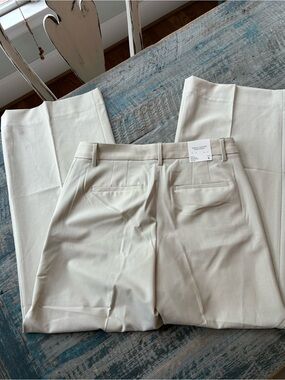 Banana Republic Light Tan Cream Tailored Trousers, 10” rise, 29” in seam NWT